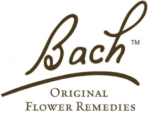 Read more about the article Florais de Bach